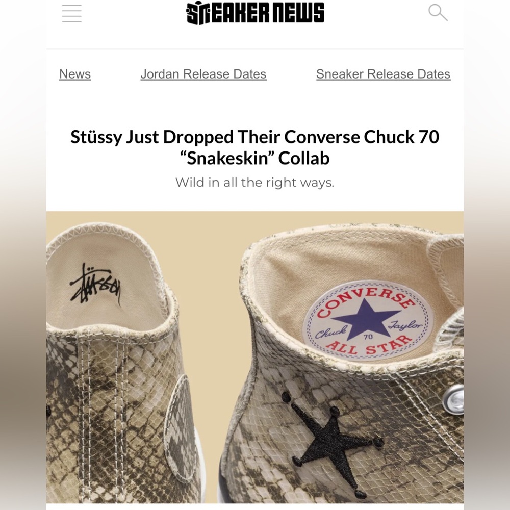 ! STÜSSY/Converse high tops